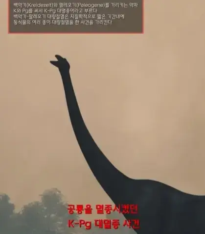 규모 20.0 지진이 일어나면 생기는 일의 내용을 보여주는 이미지 관련 이미지 6