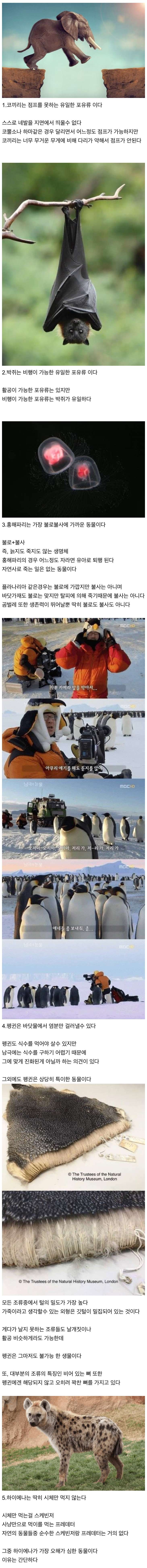 1792235502733779.jpg