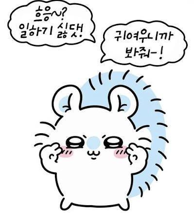 요즘 유행한다는 먼작귀 모몽가 짤들의 내용을 보여주는 이미지