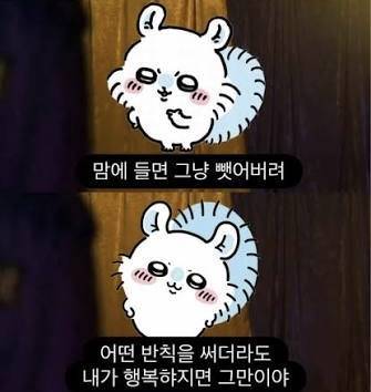 요즘 유행한다는 먼작귀 모몽가 짤들의 내용을 보여주는 이미지 관련 이미지 2
