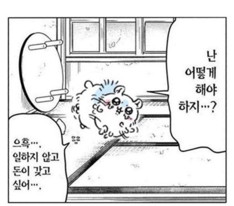 요즘 유행한다는 먼작귀 모몽가 짤들의 내용을 보여주는 이미지 관련 이미지 3