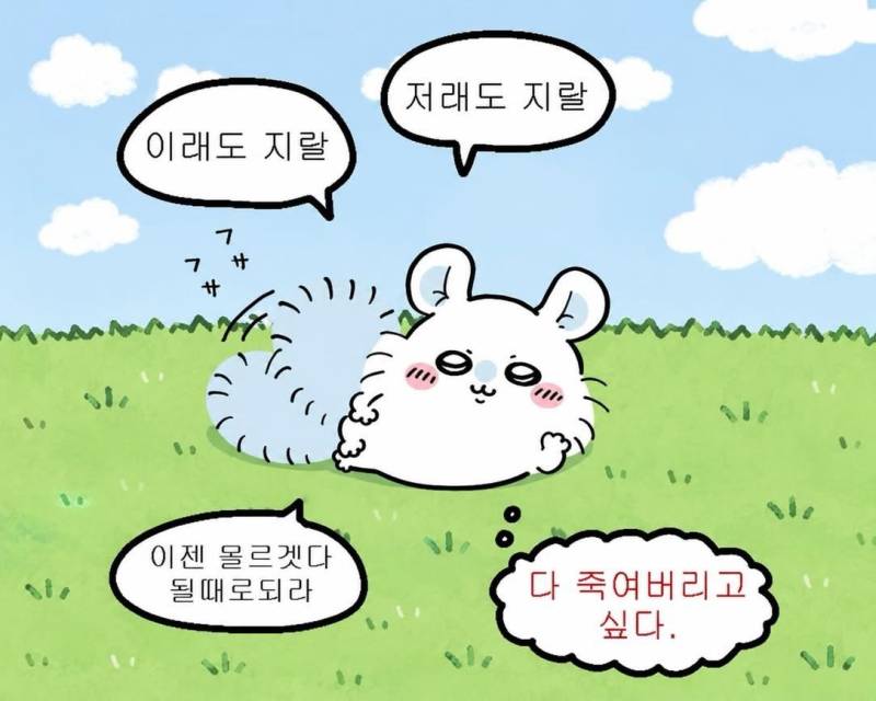 요즘 유행한다는 먼작귀 모몽가 짤들의 내용을 보여주는 이미지 관련 이미지 4