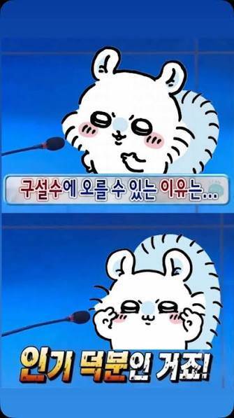 요즘 유행한다는 먼작귀 모몽가 짤들의 내용을 보여주는 이미지 관련 이미지 5