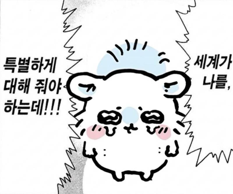 요즘 유행한다는 먼작귀 모몽가 짤들의 내용을 보여주는 이미지 관련 이미지 6