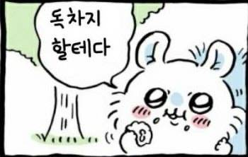 요즘 유행한다는 먼작귀 모몽가 짤들의 내용을 보여주는 이미지 관련 이미지 8