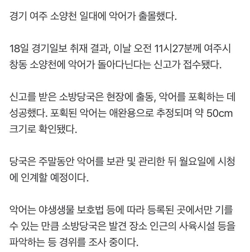 경기도 여주 하천 악어 등장의 내용을 보여주는 이미지 관련 이미지 3