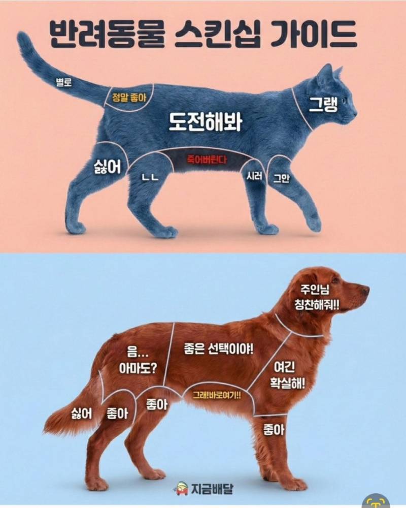 고양이와 강아지의 부위별 스킨십 선호도의 내용을 보여주는 이미지