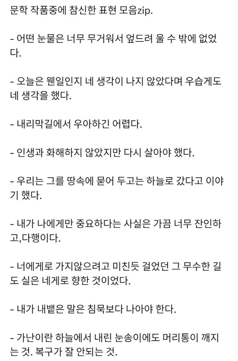 문학의 참신한 표현들의 내용을 보여주는 이미지