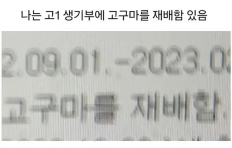 당황스러운 생기부 모음의 내용을 보여주는 이미지 관련 이미지 10