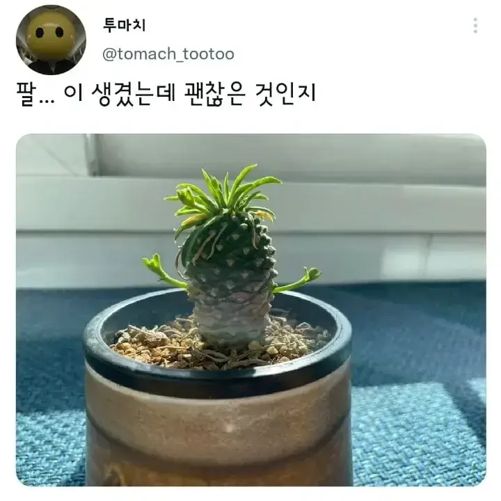 팔... 이 생겼는데 괜찮은 것인지의 내용을 보여주는 이미지