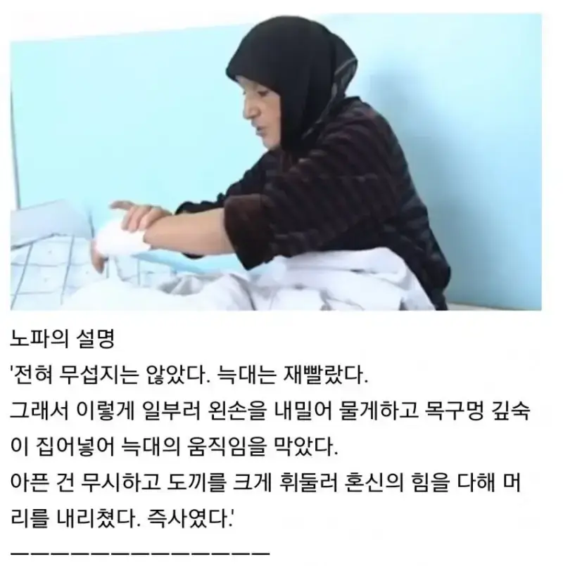 손도끼 하나로 늑대를 상대한 할머니의 내용을 보여주는 이미지 관련 이미지 2