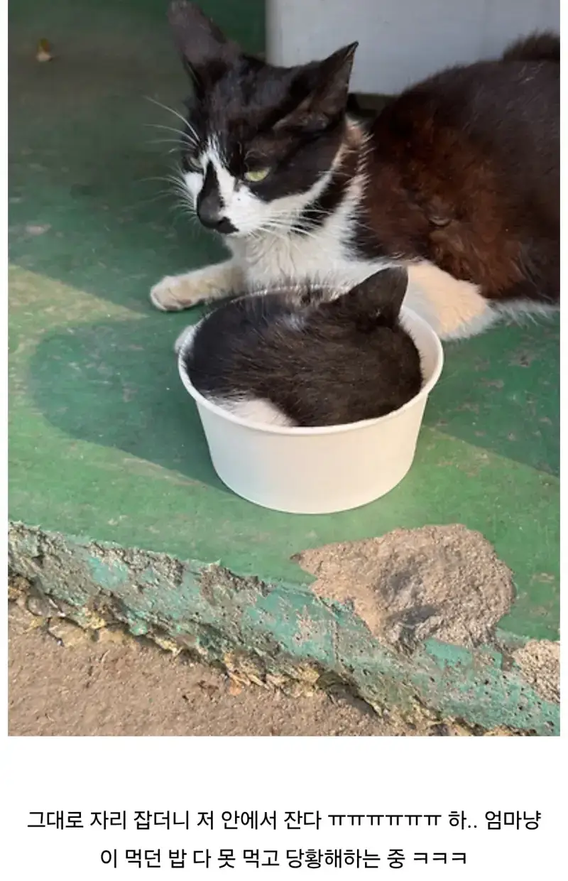 1UzfFg0HMk0msk0MCmQouY.webp