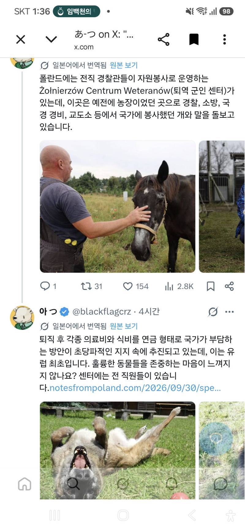 폴란드의 국가경호대 소속 경비견 은퇴의 내용을 보여주는 이미지 관련 이미지 2