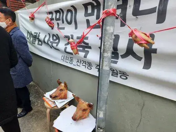 "한국을 보고 배워라"의 내용을 보여주는 이미지 관련 이미지 2