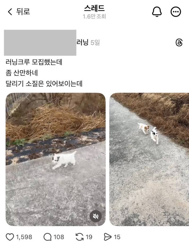 내 러닝크루를 소개할게의 내용을 보여주는 이미지