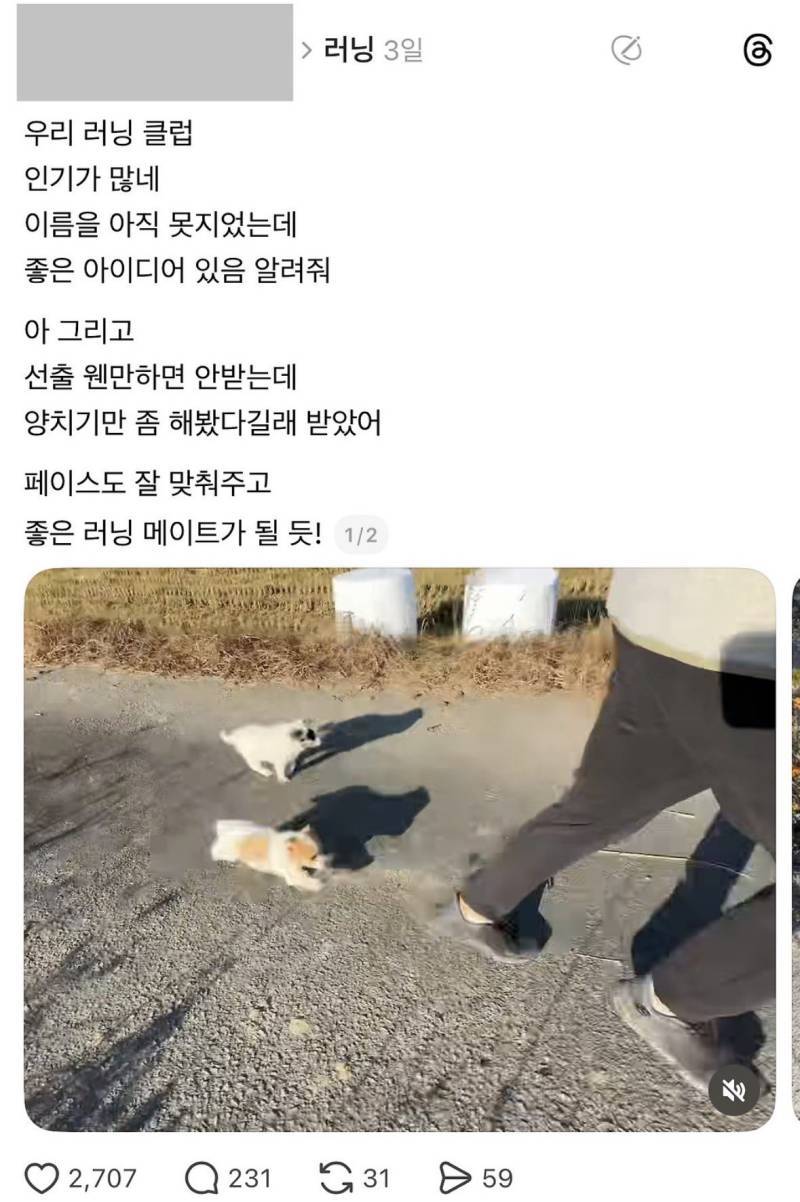 내 러닝크루를 소개할게의 내용을 보여주는 이미지 관련 이미지 2