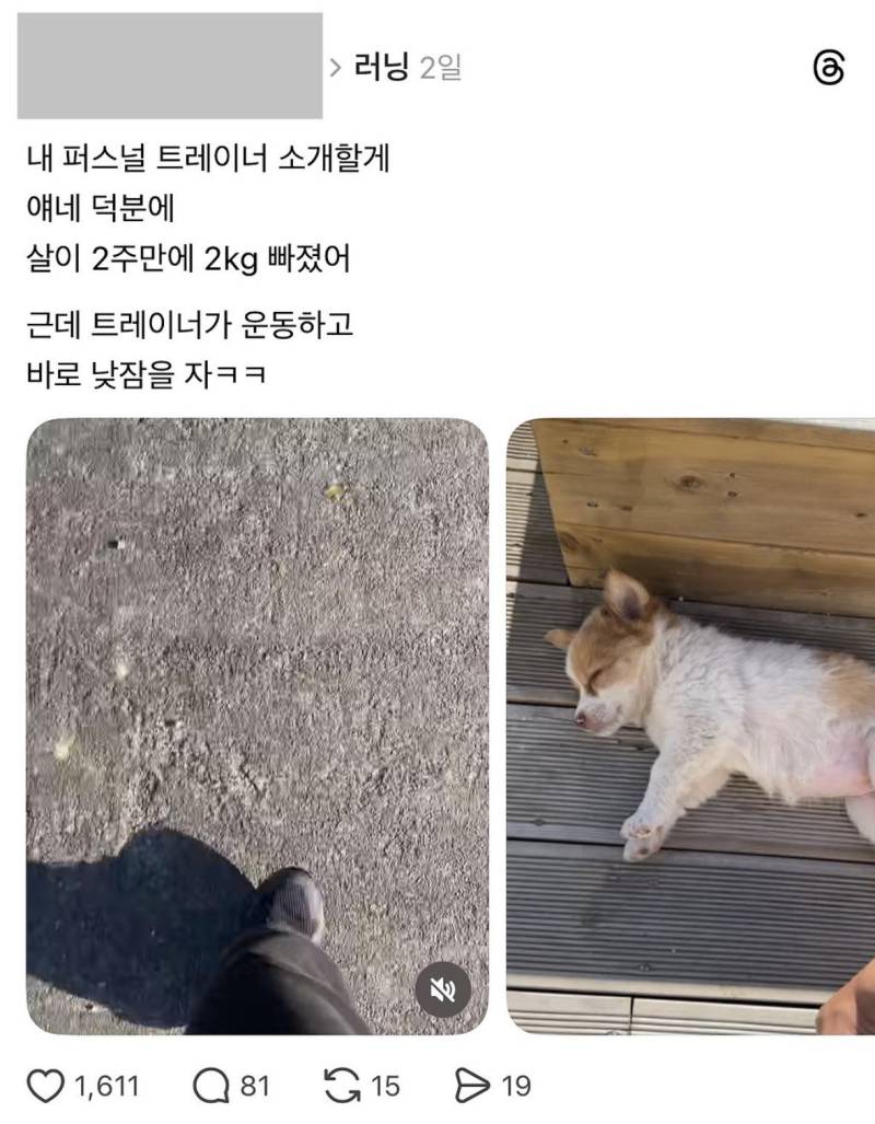 내 러닝크루를 소개할게의 내용을 보여주는 이미지 관련 이미지 4
