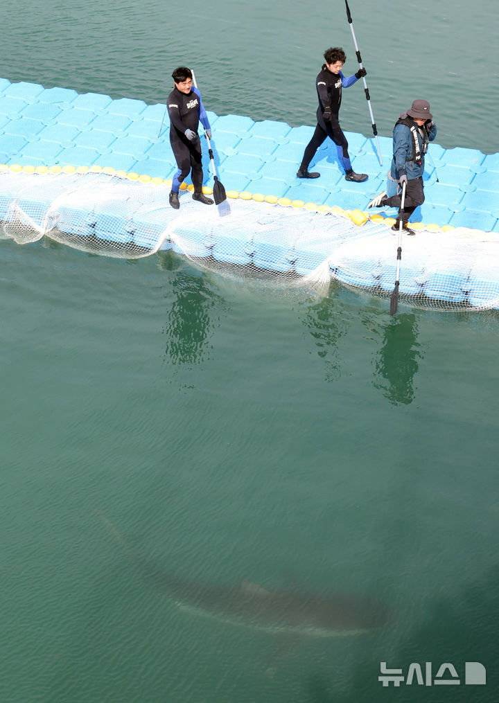 실시간 안가겠다고 버티는 부캉이 ㅠㅠ의 내용을 보여주는 이미지 관련 이미지 3