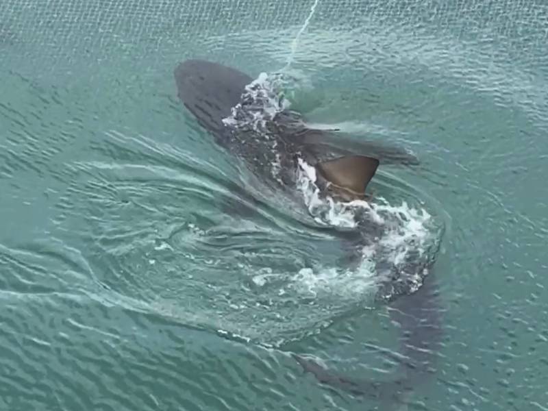 실시간 안가겠다고 버티는 부캉이 ㅠㅠ의 내용을 보여주는 이미지 관련 이미지 6