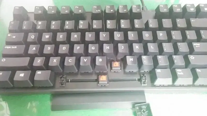 1TSP8PuIEkC6msgKOgKgik.webp