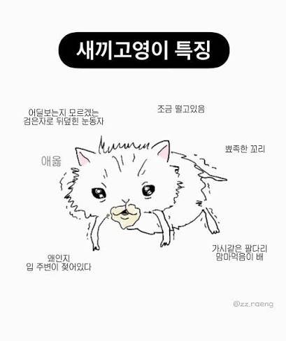 아기고영이와 맘마먹음이 차이의 내용을 보여주는 이미지 관련 이미지 3