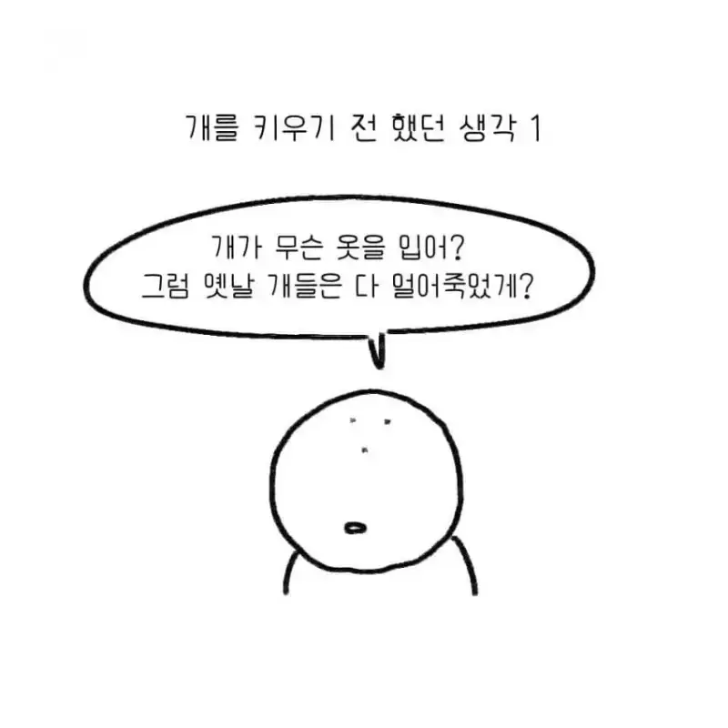 개를 키우기 전에 했던 생각의 내용을 보여주는 이미지