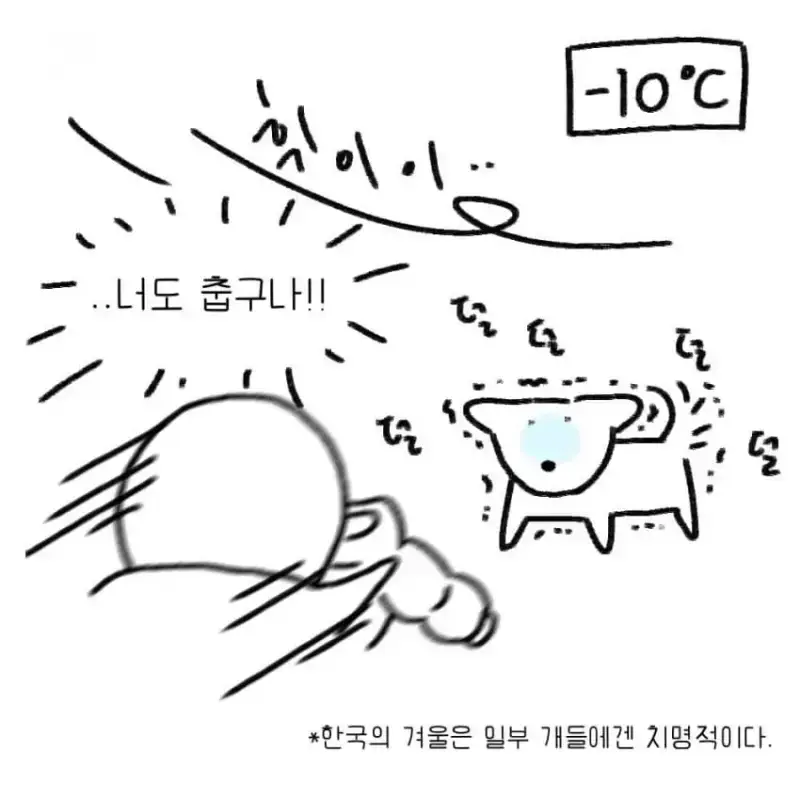 개를 키우기 전에 했던 생각의 내용을 보여주는 이미지 관련 이미지 2