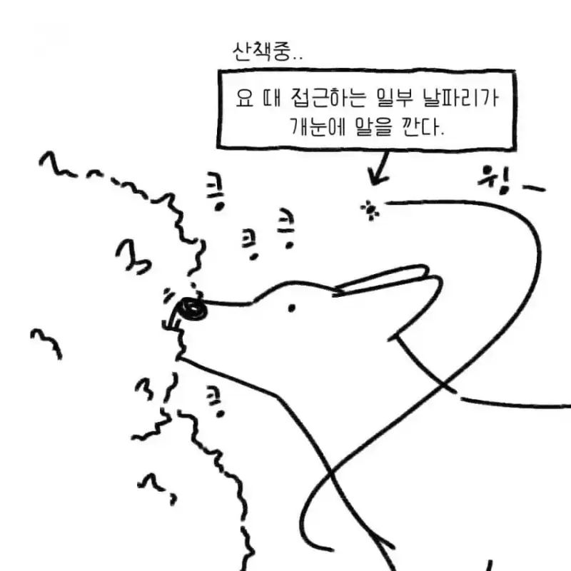 개를 키우기 전에 했던 생각의 내용을 보여주는 이미지 관련 이미지 6