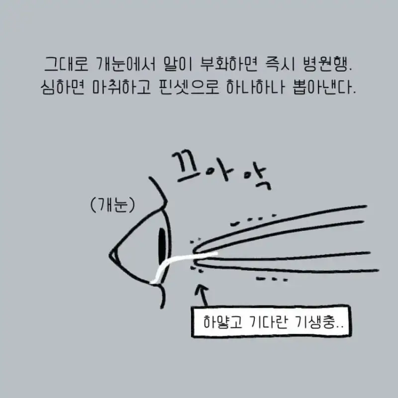 개를 키우기 전에 했던 생각의 내용을 보여주는 이미지 관련 이미지 7