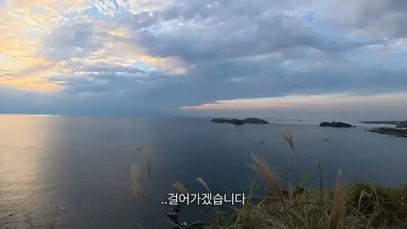 제주도를 걸어서 횡단하다가 숙소를 못 찾으면 일어나는 일의 내용을 보여주는 이미지 관련 이미지 11