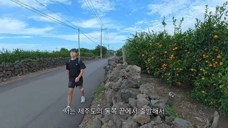 제주도를 걸어서 횡단하다가 숙소를 못 찾으면 일어나는 일의 내용을 보여주는 이미지 관련 이미지 5
