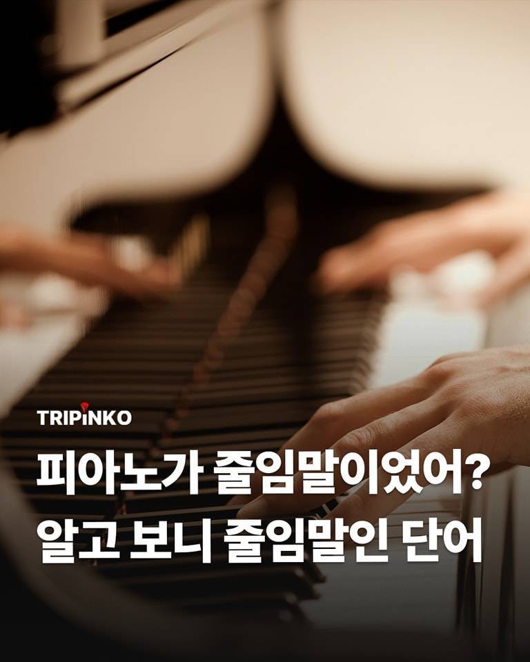 피아노가 줄임말이었어?의 내용을 보여주는 이미지