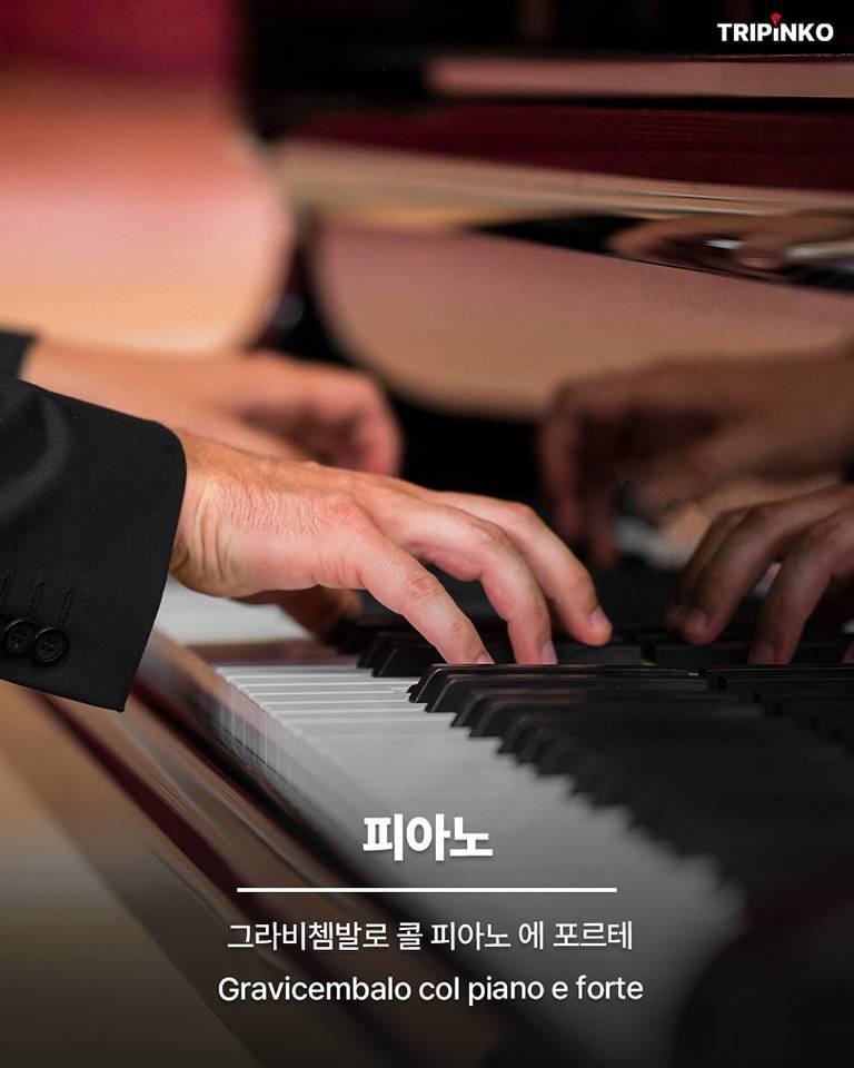 피아노가 줄임말이었어?의 내용을 보여주는 이미지 관련 이미지 2