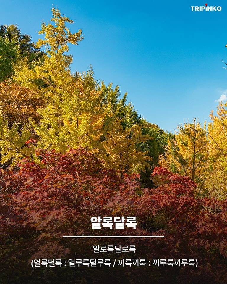 피아노가 줄임말이었어?의 내용을 보여주는 이미지 관련 이미지 4
