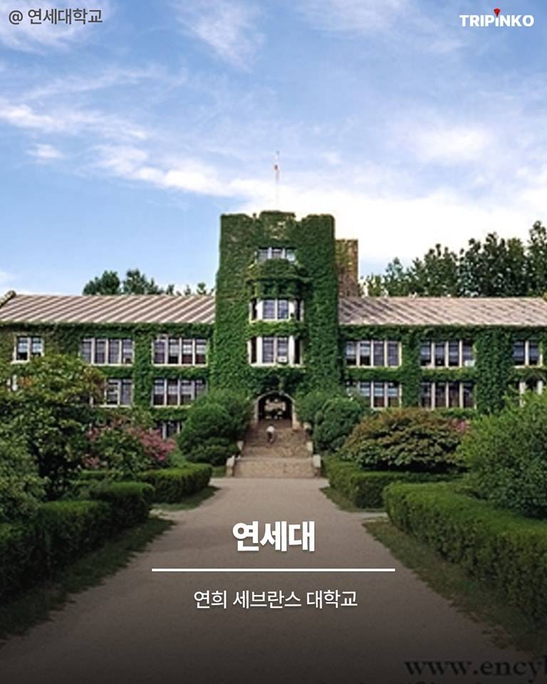 피아노가 줄임말이었어?의 내용을 보여주는 이미지 관련 이미지 5