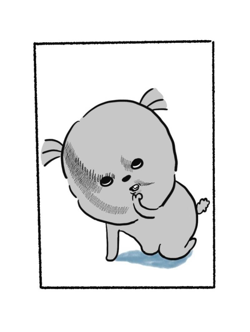 너도 한번 당해..아니 먹어봐의 내용을 보여주는 이미지 관련 이미지 2