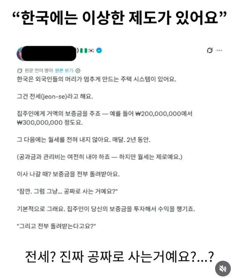 "한국에는 이상한 제도가 있어요"의 내용을 보여주는 이미지