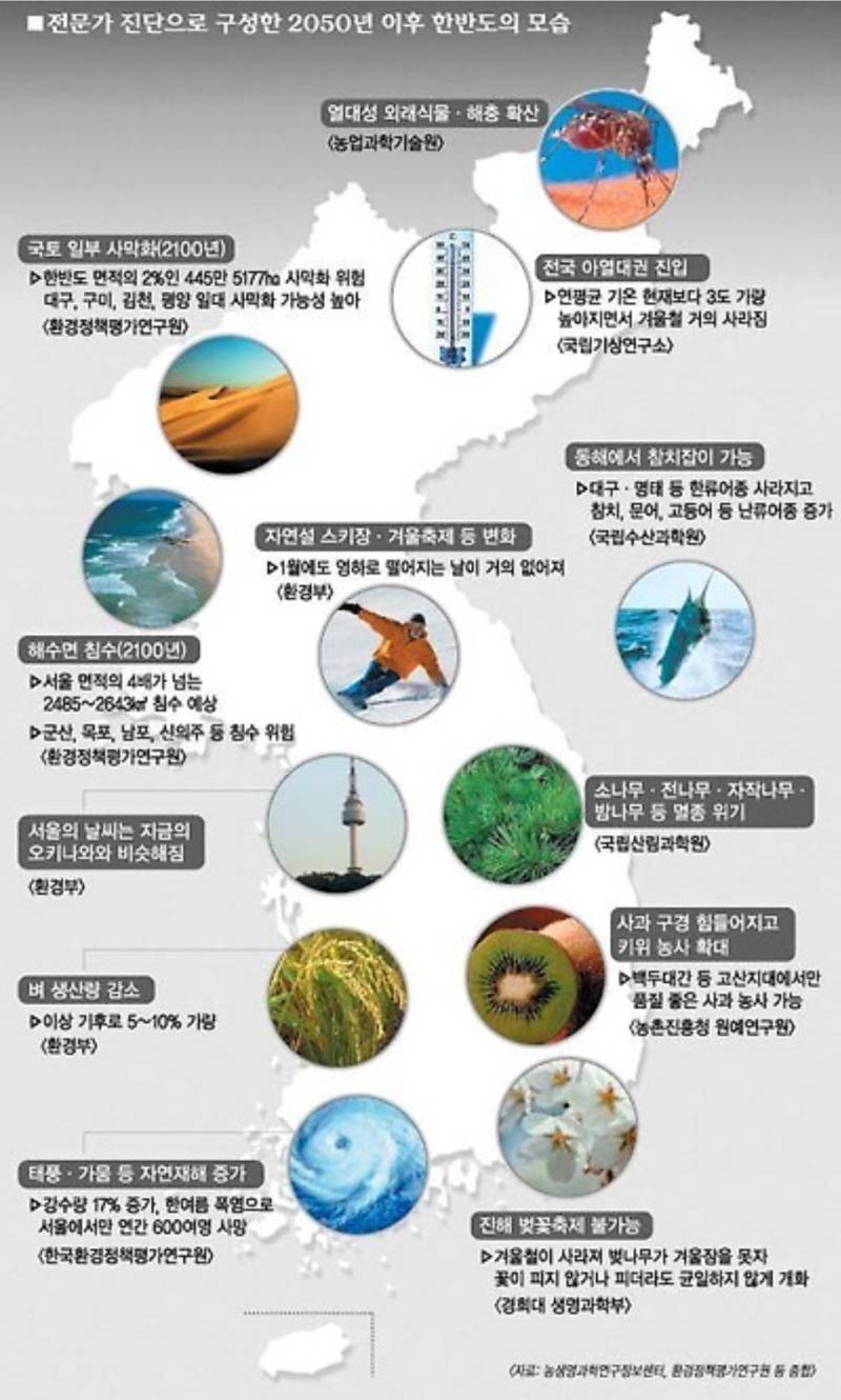 전문가 진단으로 구성한 2050년 이후 한반도 모습의 내용을 보여주는 이미지