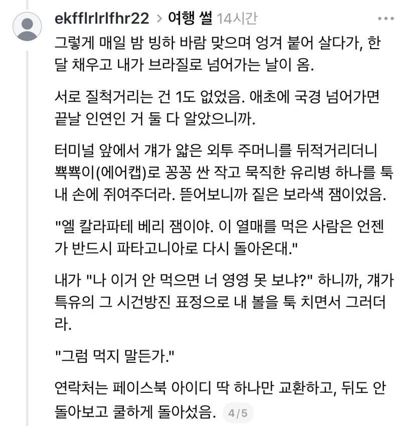 충동적으로 떠났던 누군가의 남미 여행 이야기의 내용을 보여주는 이미지 관련 이미지 4