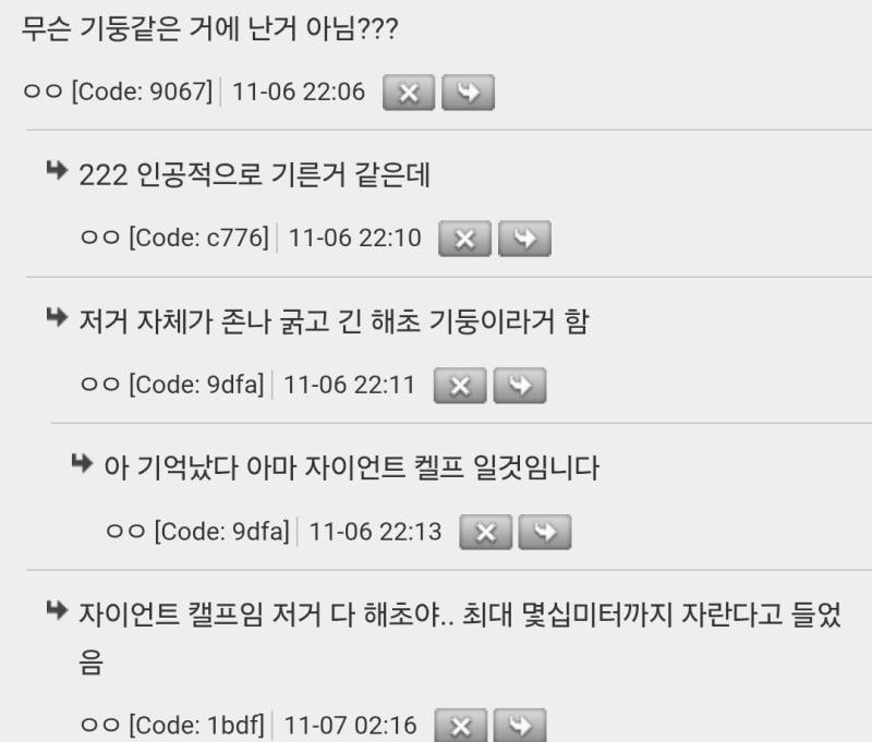 바닷속의 해초.gif의 내용을 보여주는 이미지 관련 이미지 2