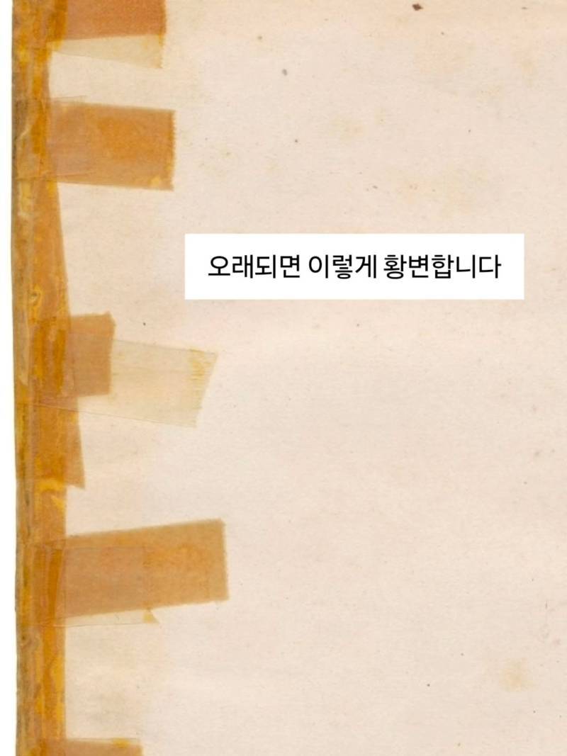 헐 미친 나 도서관 책 찢음의 내용을 보여주는 이미지 관련 이미지 4