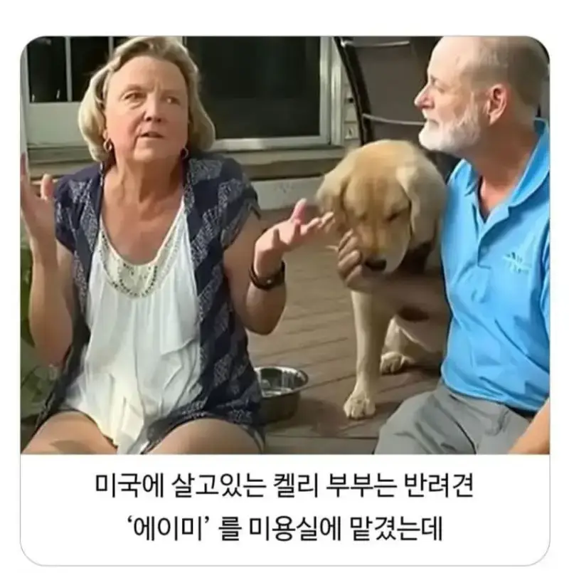 1784429978874896.webp