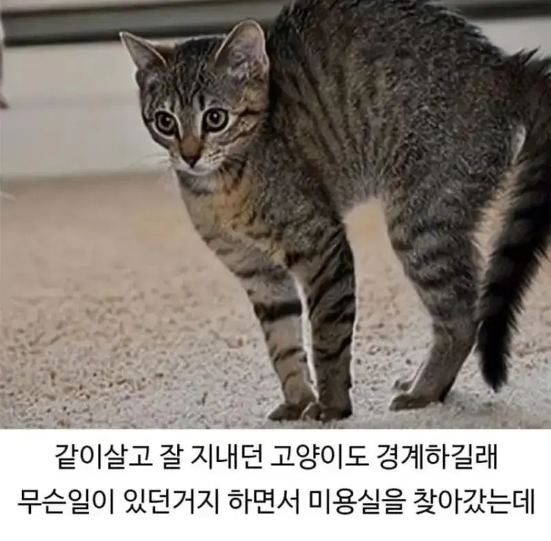 1784429978602427.webp