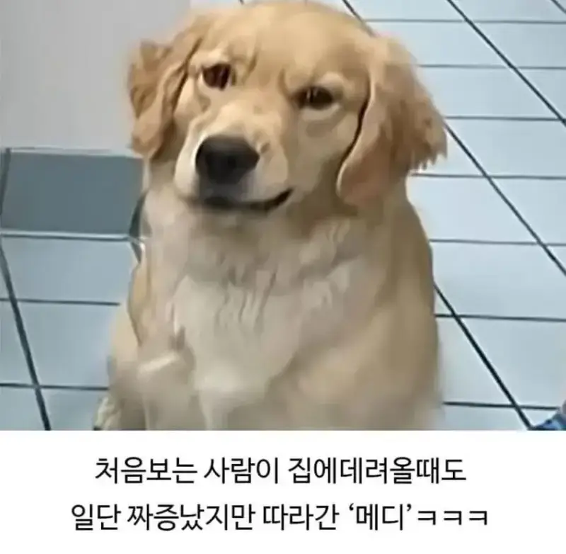 1784429978945843.webp