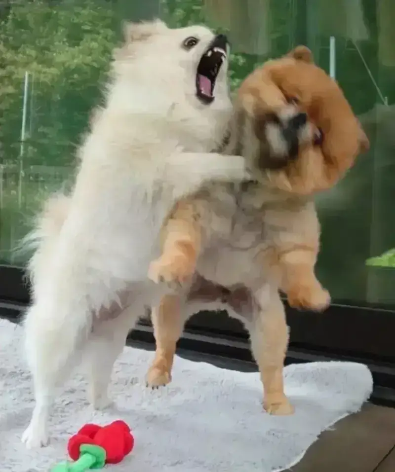 오이를 찍었을 뿐인데 화제가 된 사진의 내용을 보여주는 이미지 관련 이미지 3