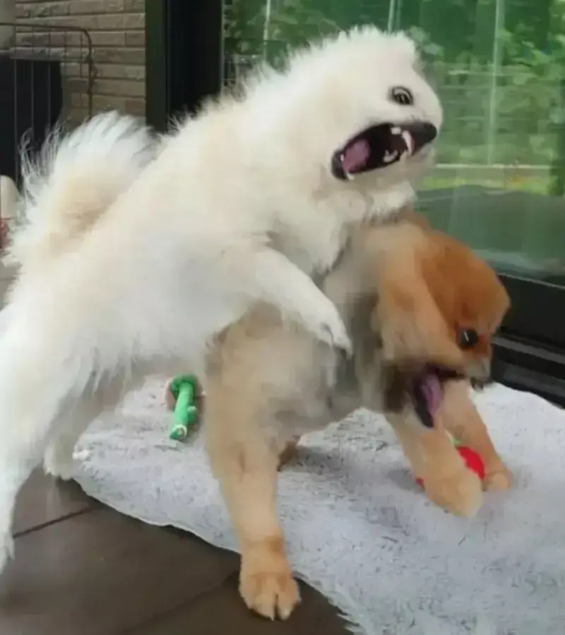 오이를 찍었을 뿐인데 화제가 된 사진의 내용을 보여주는 이미지 관련 이미지 4