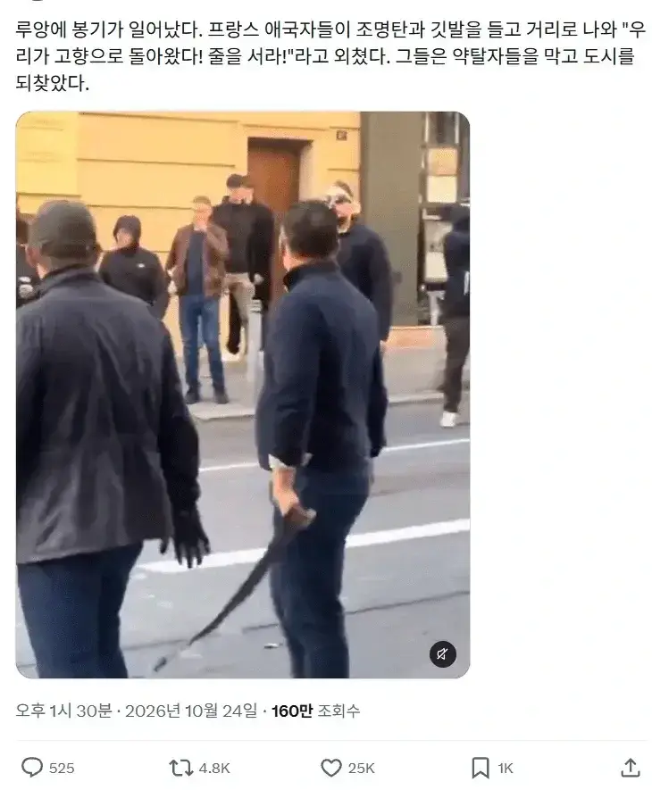 새로 결성된 프랑스 시위대.jpgif의 내용을 보여주는 이미지 관련 이미지 2