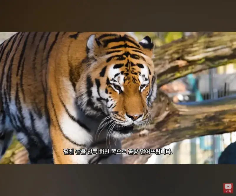 아이폰 듀오 낙하시험 결과의 내용을 보여주는 이미지 관련 이미지 7