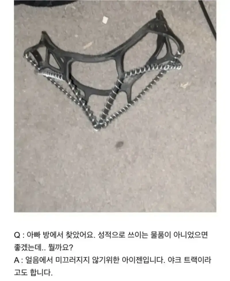 아빠 방에서 찾았는데 성적인 물건이 아니면 좋겠어요의 내용을 보여주는 이미지