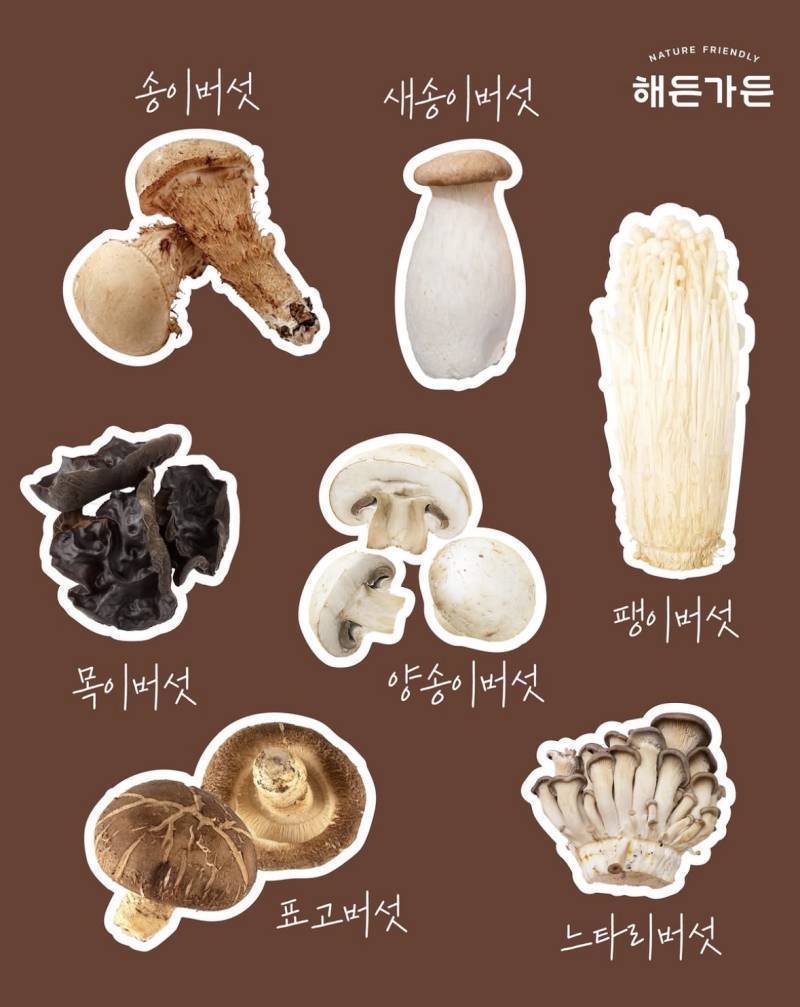 사람들이 자주 먹는 식용 버섯 7가지 중 취향은?의 내용을 보여주는 이미지
